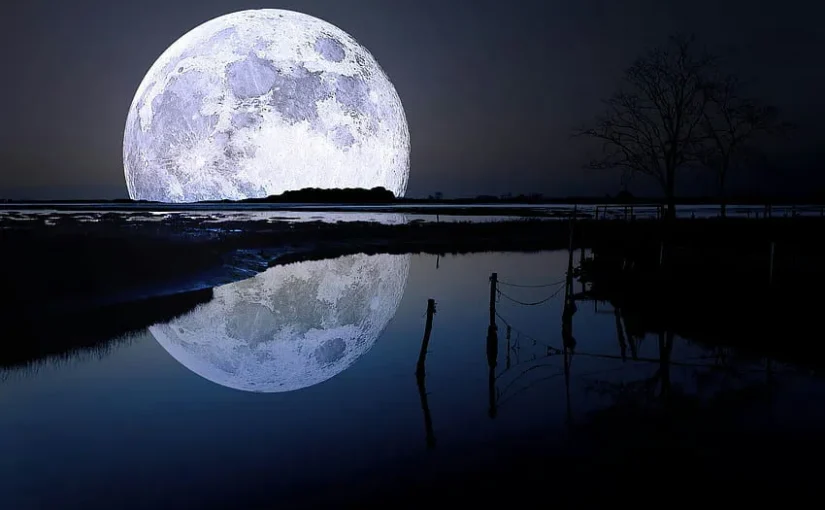 Reflejo Lunar: Redescubriendo Nuestra Esencia a Través de Las Fases Emocionales